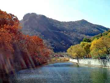 新澳天天开奖资料大全旅游团，深圳同康大宗